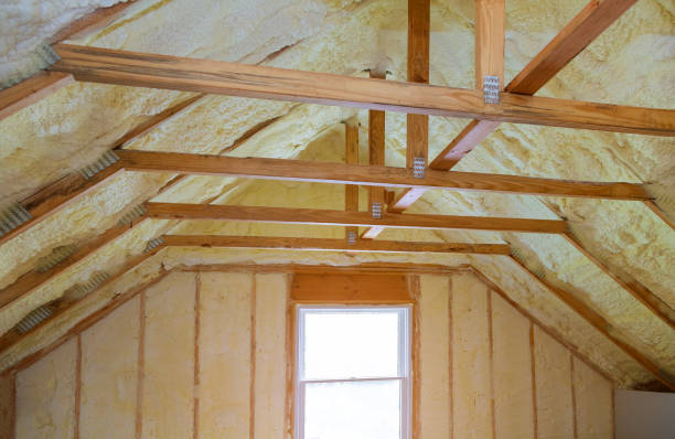 Best Local Insulation Services  in Sanford, CO