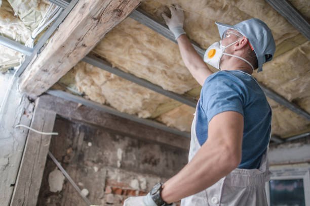 Best Insulation Repair Services  in Sanford, CO