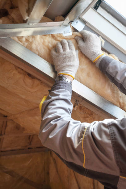 Best Cellulose Insulation  in Sanford, CO