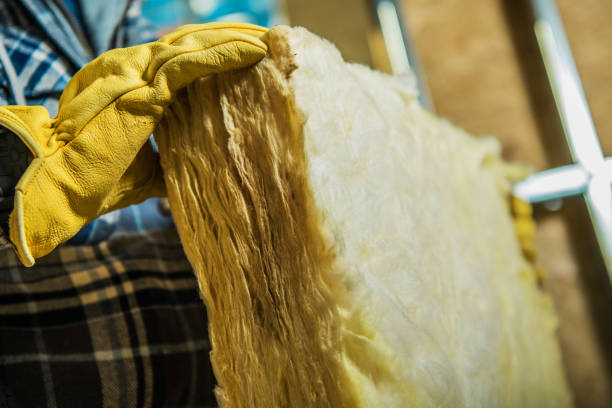 Best Commercial Insulation Contractor  in Sanford, CO