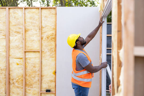 Best Home Insulation Services  in Sanford, CO