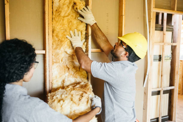 Best Best Insulation Companies  in Sanford, CO