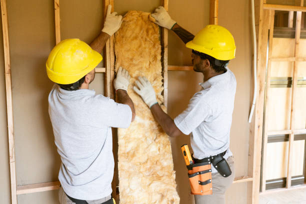 Best Insulation Contractors for Homes  in Sanford, CO